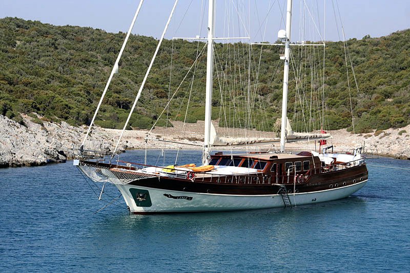 CANER IV