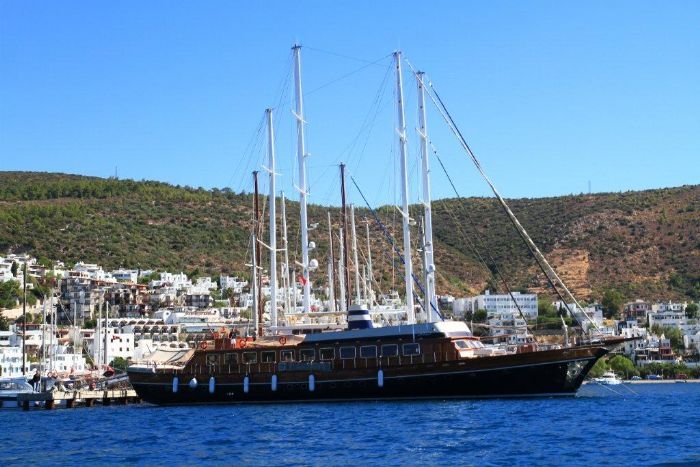 HALIS TEMEL
